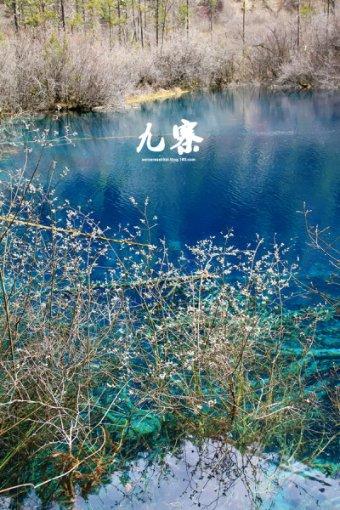 高铁上可以喝到湖北排骨藕汤了：4款楚菜24日起端上列车